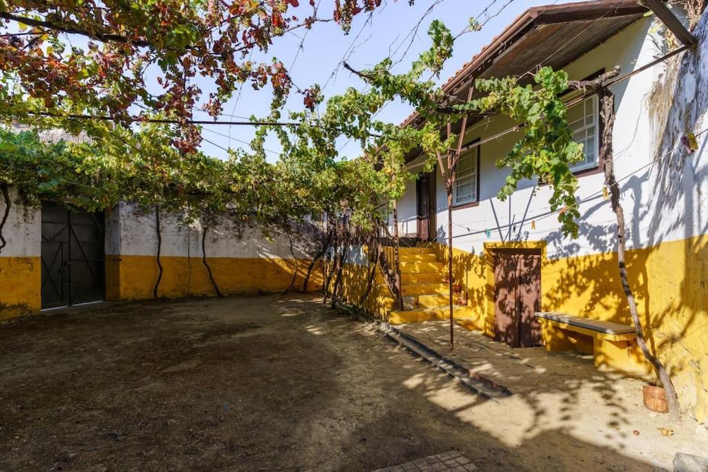 Quinta De Villa Franca - Douro Пезу-да-Регуа Екстер'єр фото