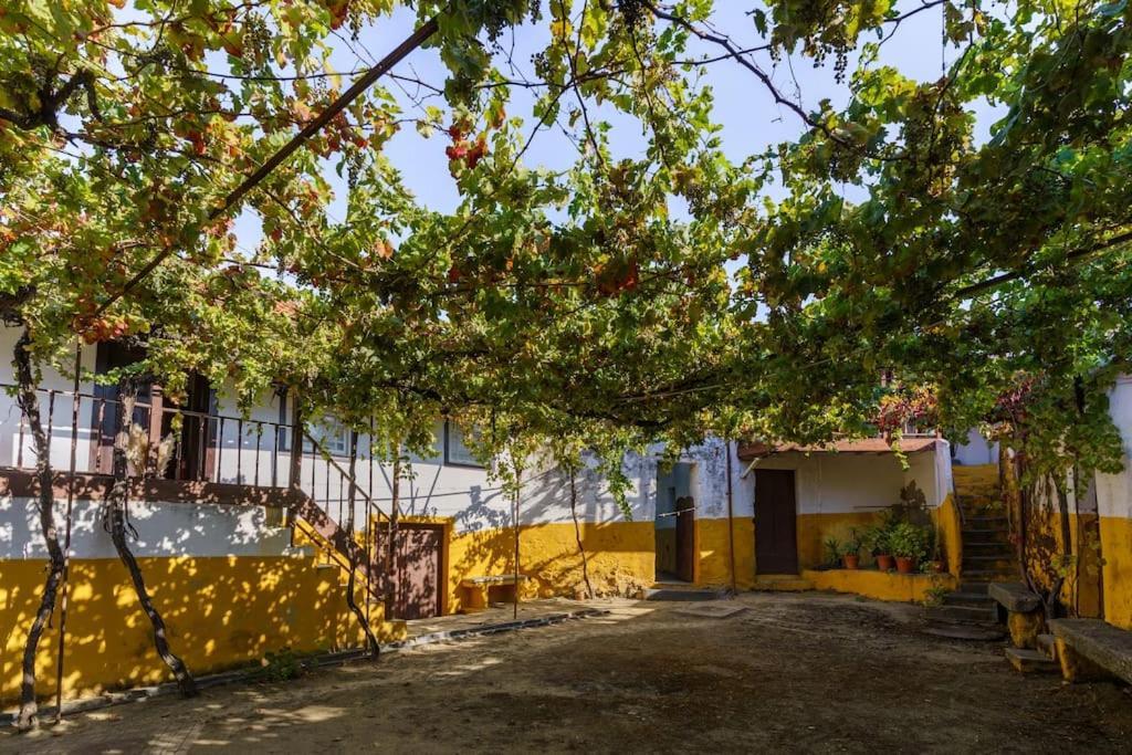 Quinta De Villa Franca - Douro Пезу-да-Регуа Екстер'єр фото